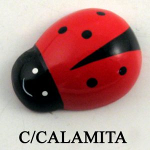 Magnetić buba mara