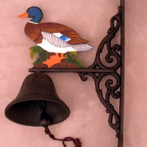Zvono divlja patka