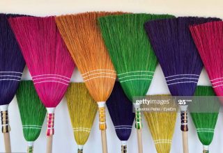 Šarena metla velika