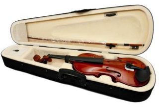 Violina