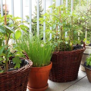 Set koševa za drva 4 komada