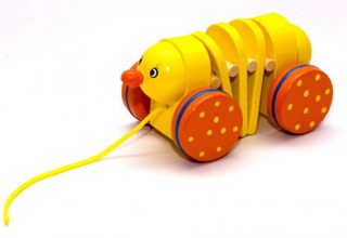 Mini vlečilica