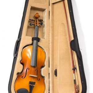 Violina velika